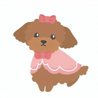 ヒート（生理）中のワンちゃんはトリミングができません