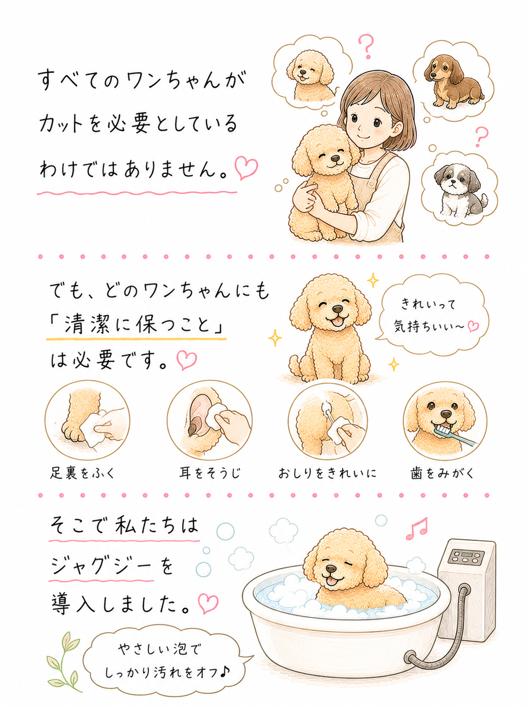 【第７回】ジャグジーを導入した本当の理由