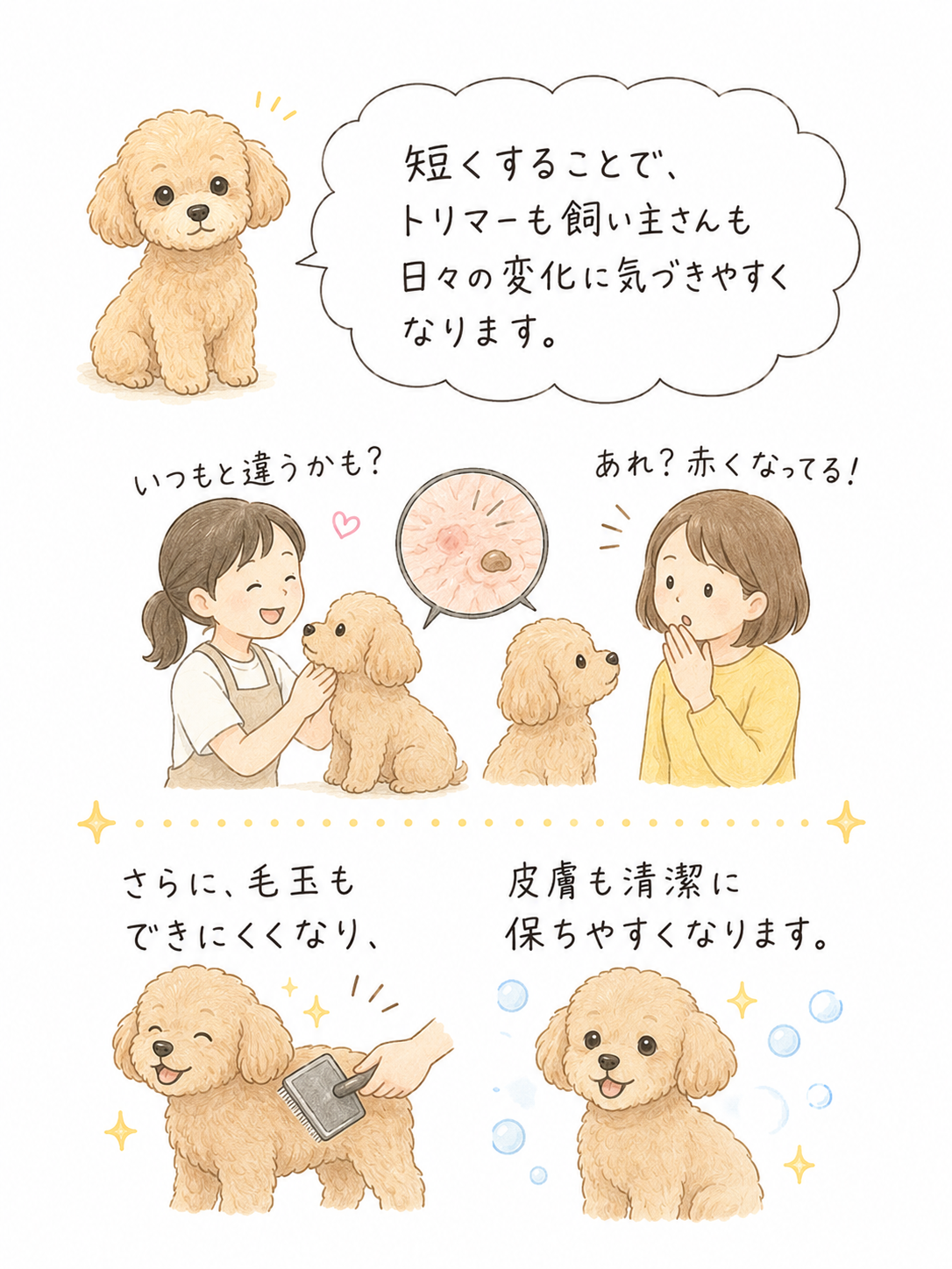 【第３回】短めカットをおすすめする理由