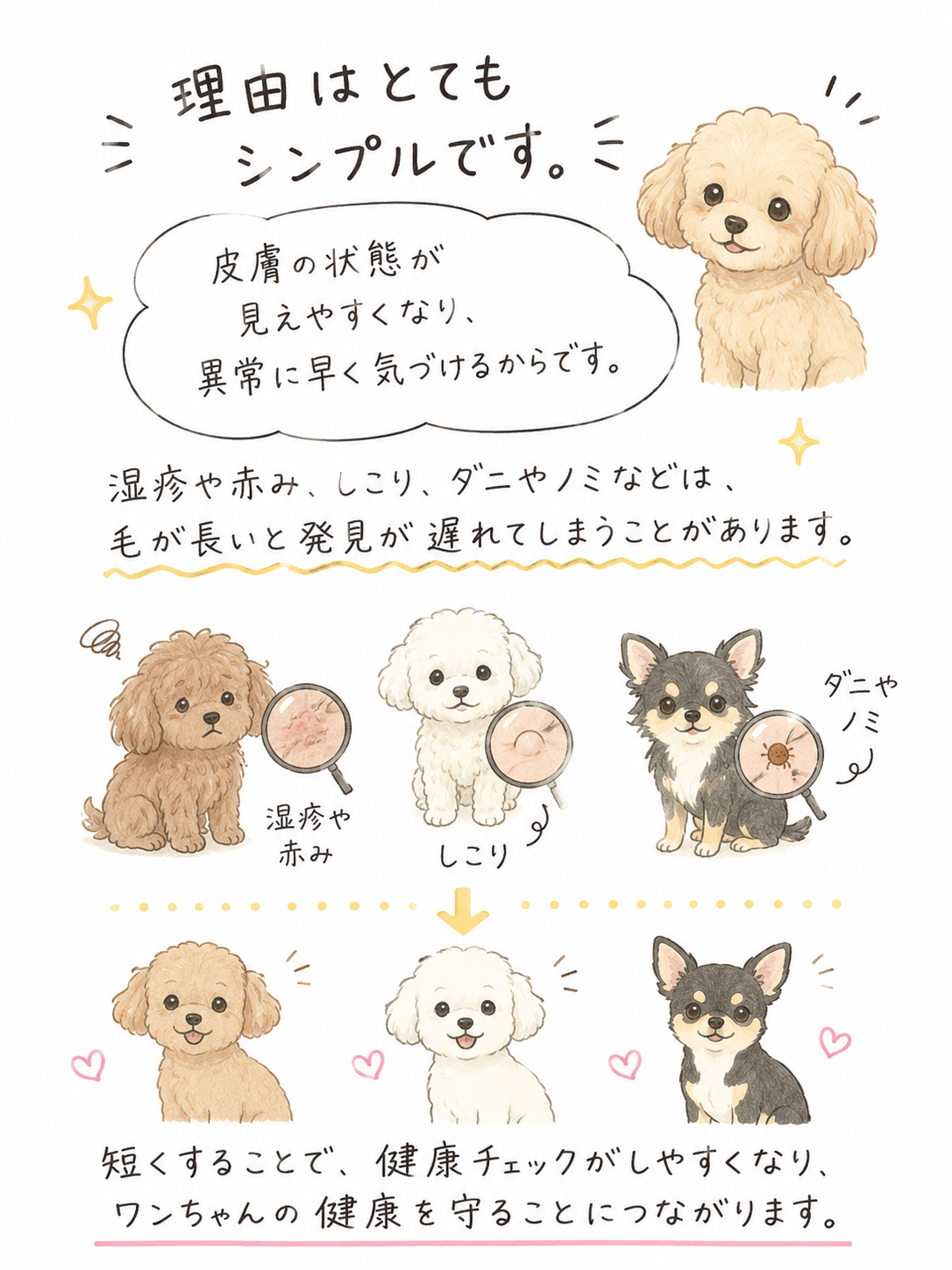 【第３回】短めカットをおすすめする理由